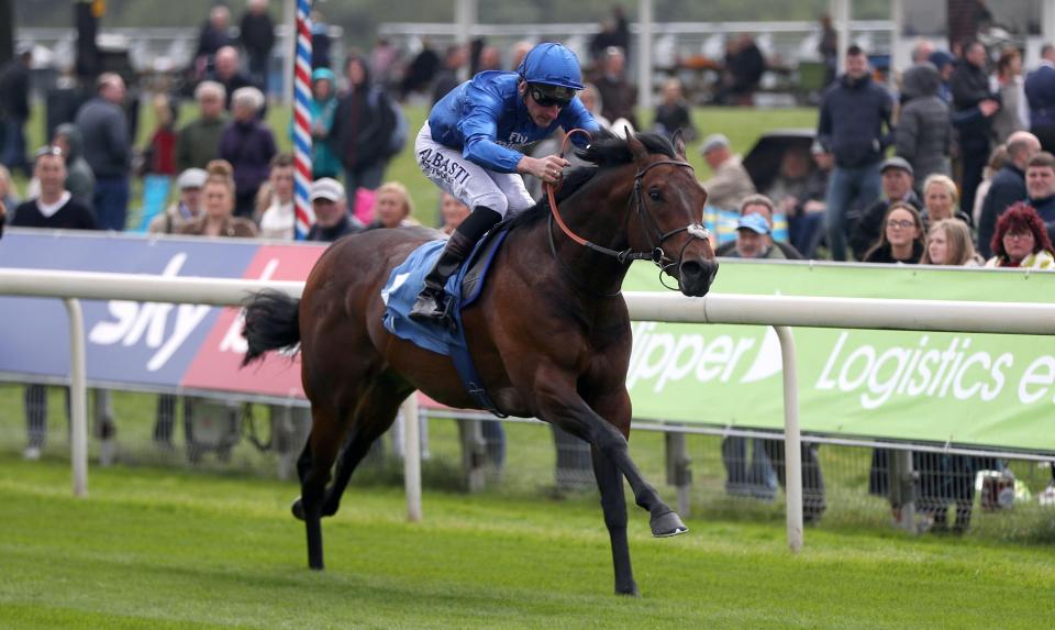  Harry Angel is likely to run at Ascot next month on Champions Day