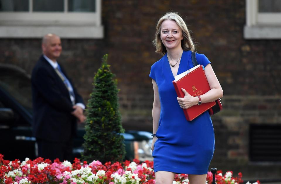  Liz Truss says the Treasury will support departments with any unforeseen costs for 2019-2020