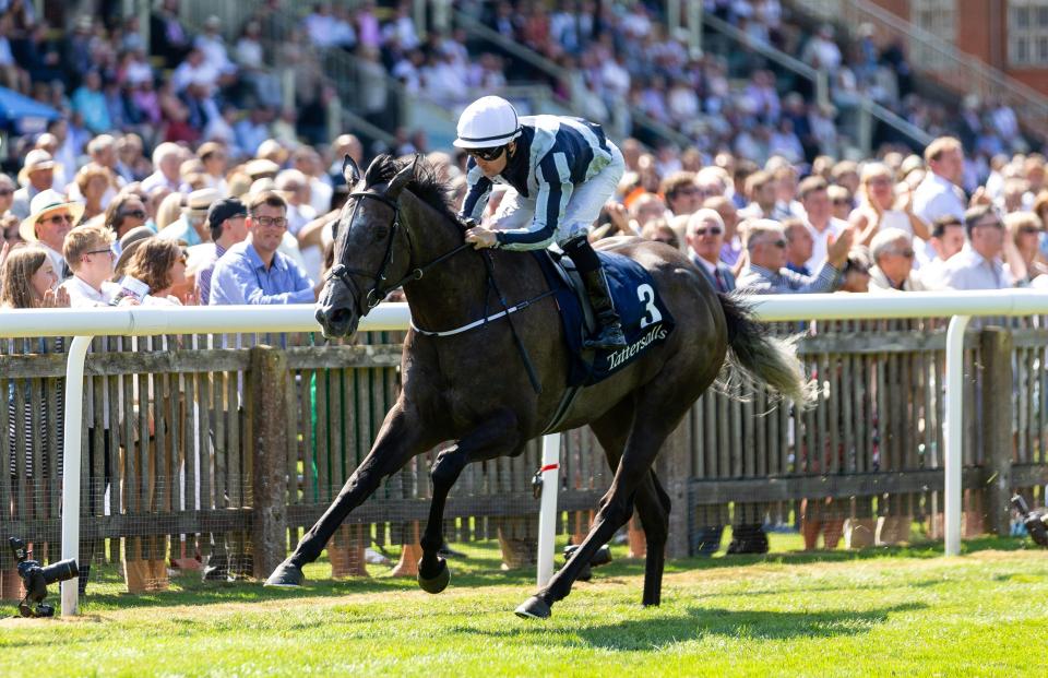  Alpha Centauri has won four Group 1s this season