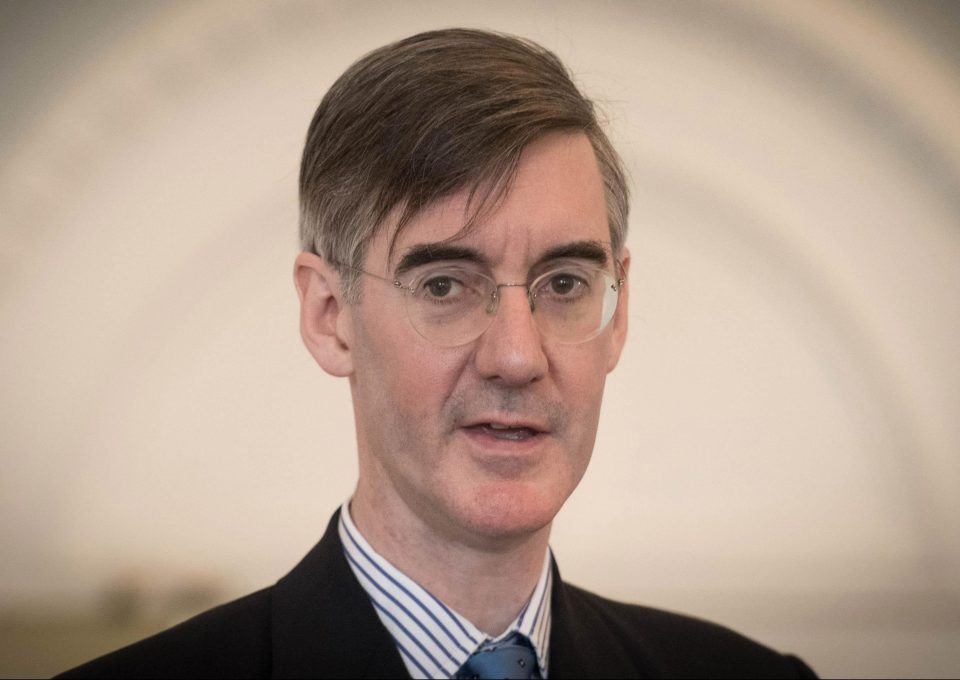 Tory backbencher Rees-Mogg claimed that the move went against the grain of traditional Tory values