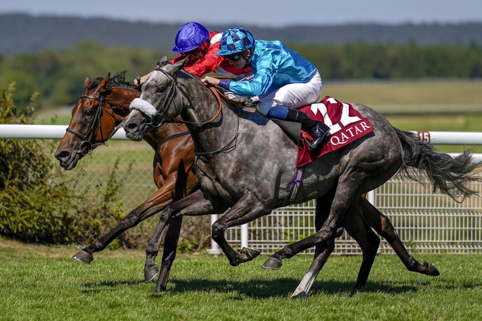  Maid Up (nearside) was supplemented for the St Leger at a cost of £50,000