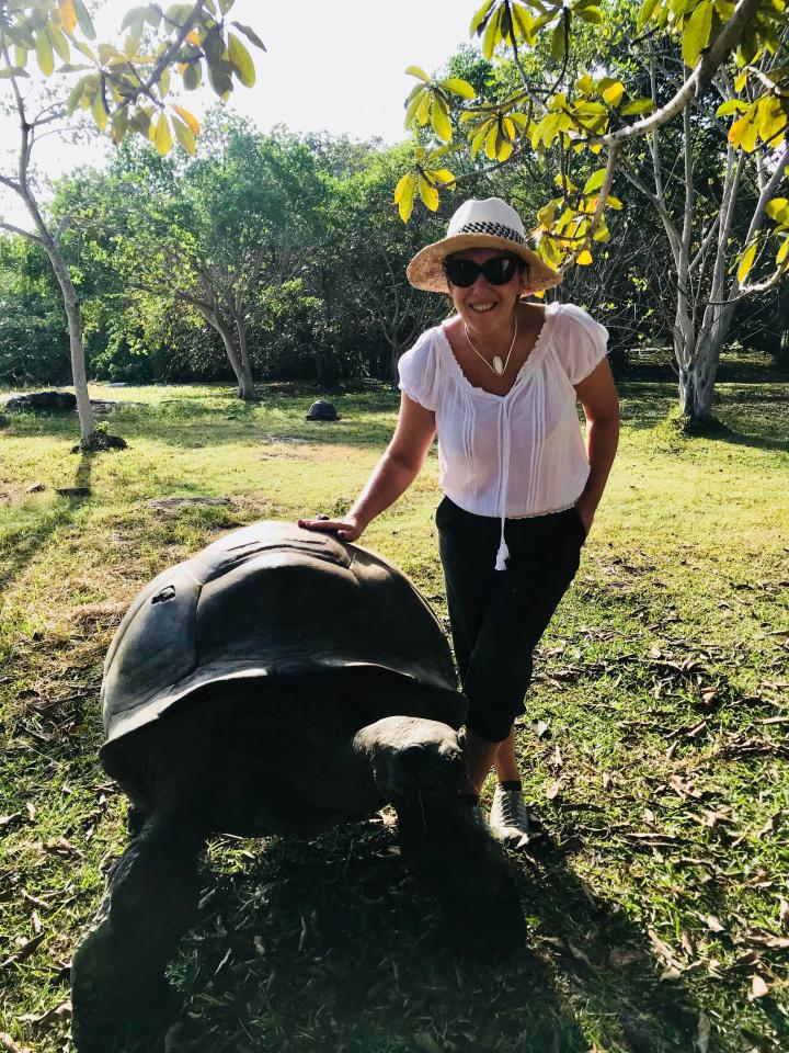  Be prepared to encounter some giant tortoises