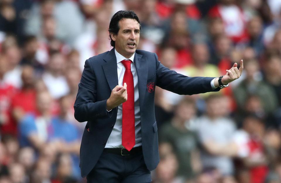 Unai Emery is looking to continue building a squad he feels is capable of pushing for success at Arsenal