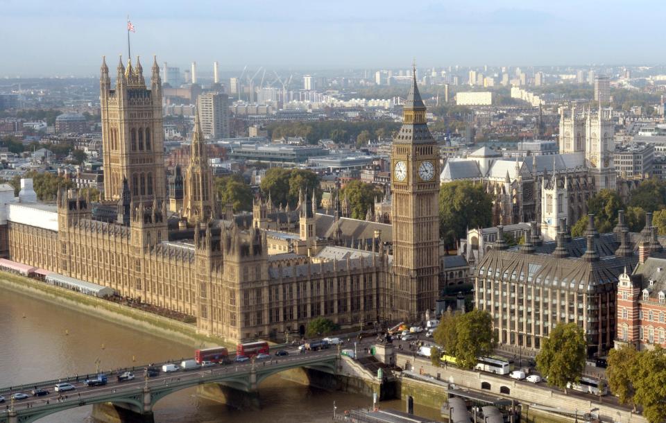  A man has been detained after jumping the fences of the Houses of Parliament