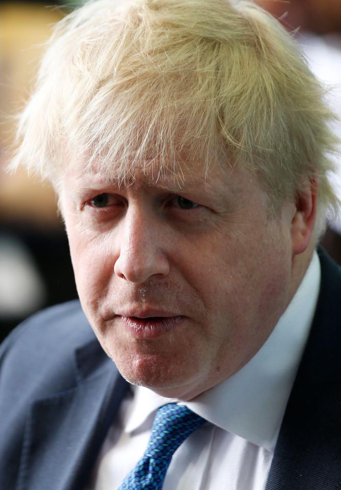  Johnson has said  the country should do more to to attract overseas students rather than push them away