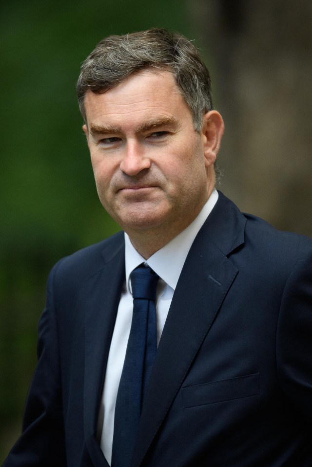 Justice Secretary David Gauke has said all prisoners should be given phones in their cells