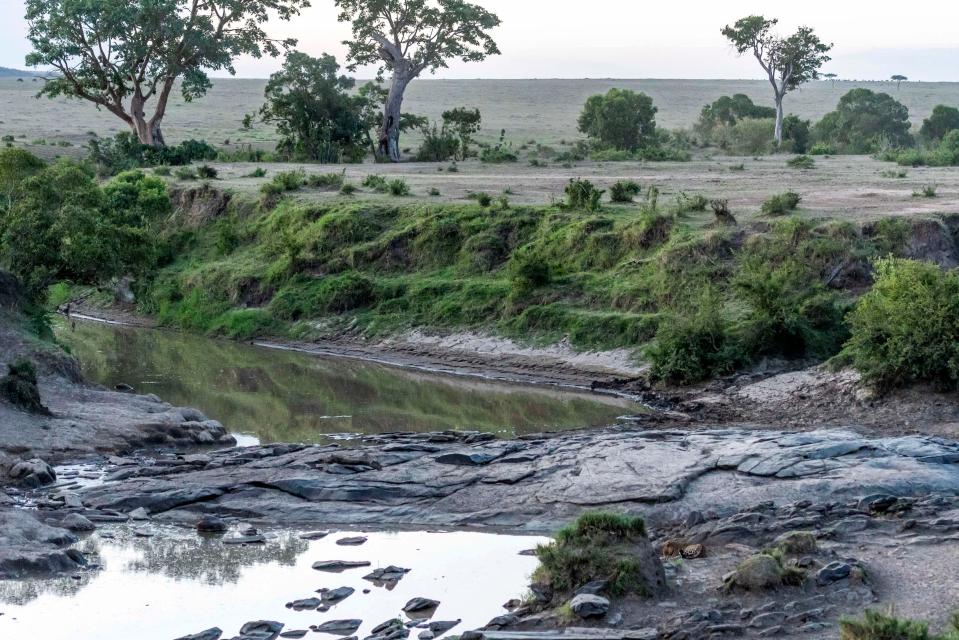  Can you spot the sneaky leopard in this snap?