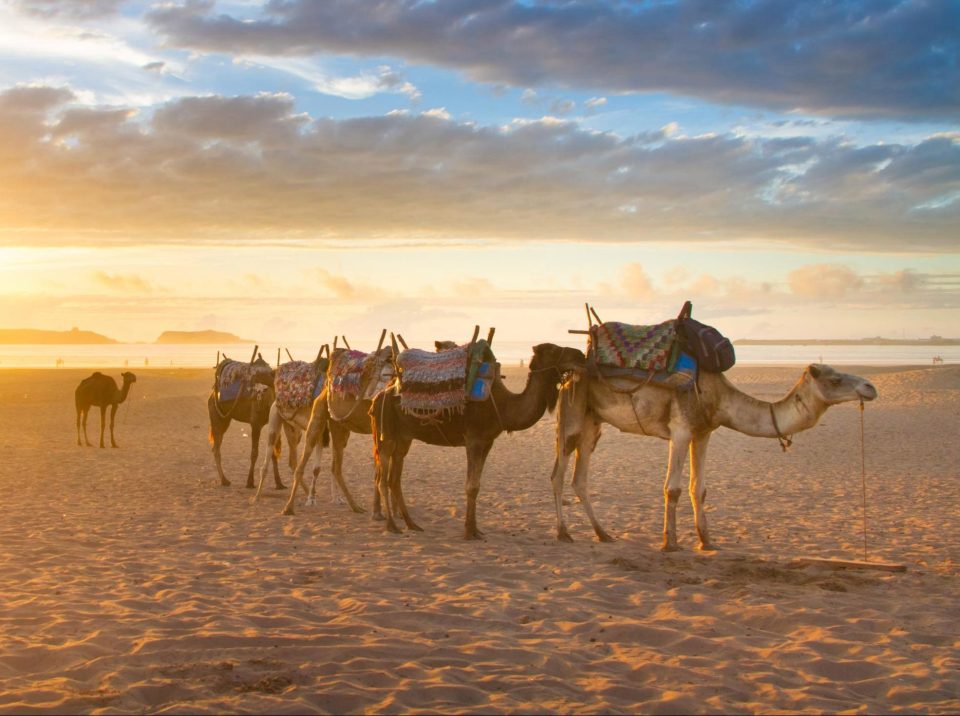  Morrocco has the longest sun hours of the top ten and you can get a camel ride in this north African country