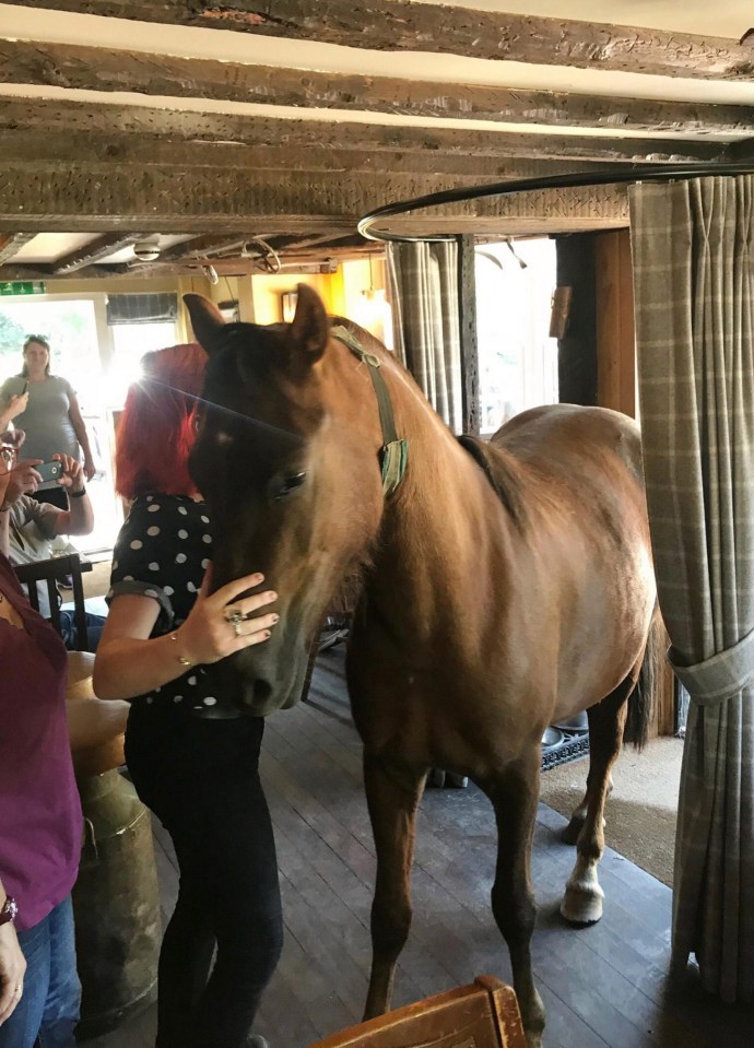 Why the long face? Perhaps he needs a drink