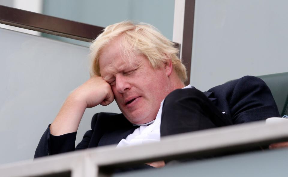  The leading Brexiteer dozed off at around 3pm as India batted