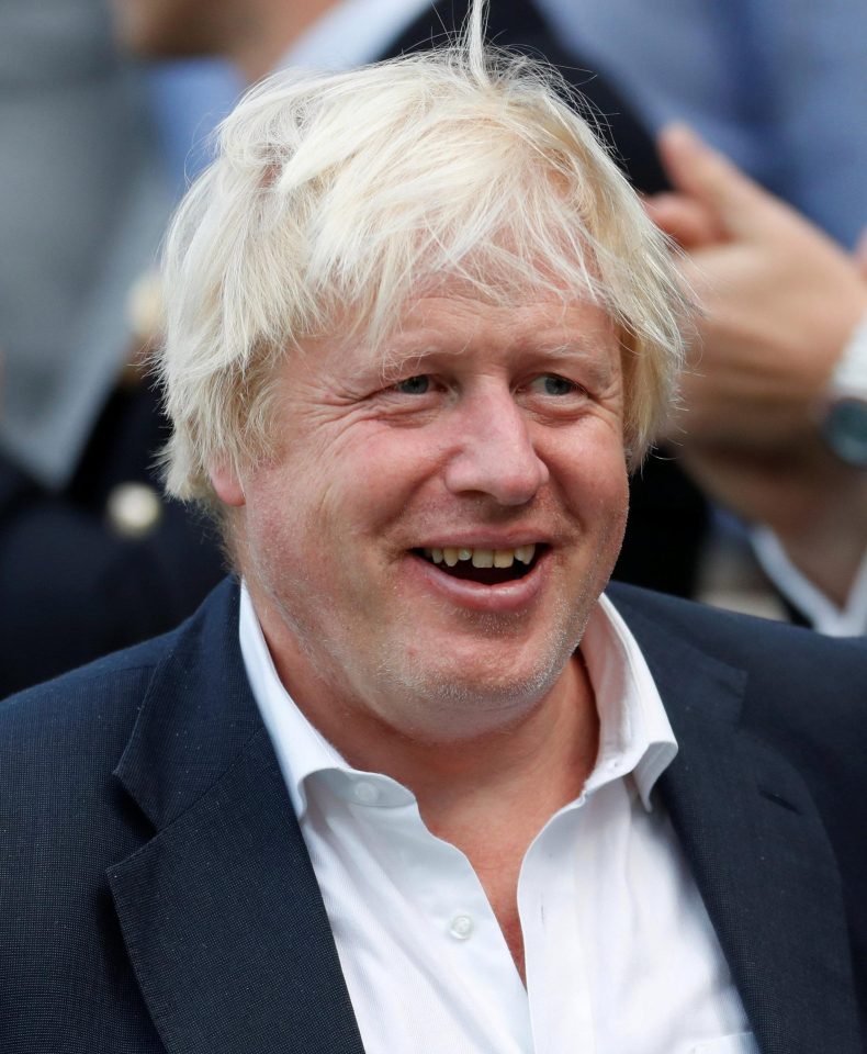  Ex-Foreign Secretary Boris Johnson, who is being divorced by his wife Marina Wheeler on the grounds of adultery