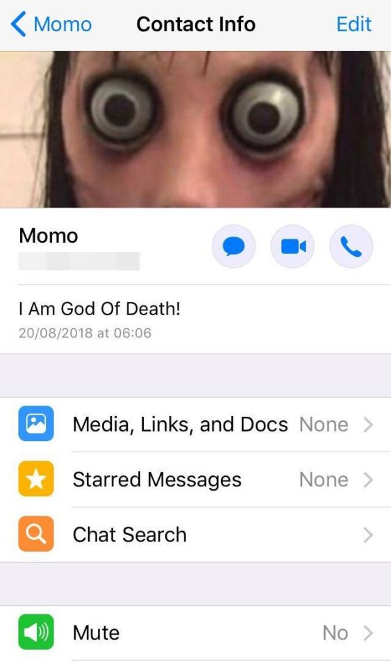 A number of Momo accounts have been set up on WhatsApp