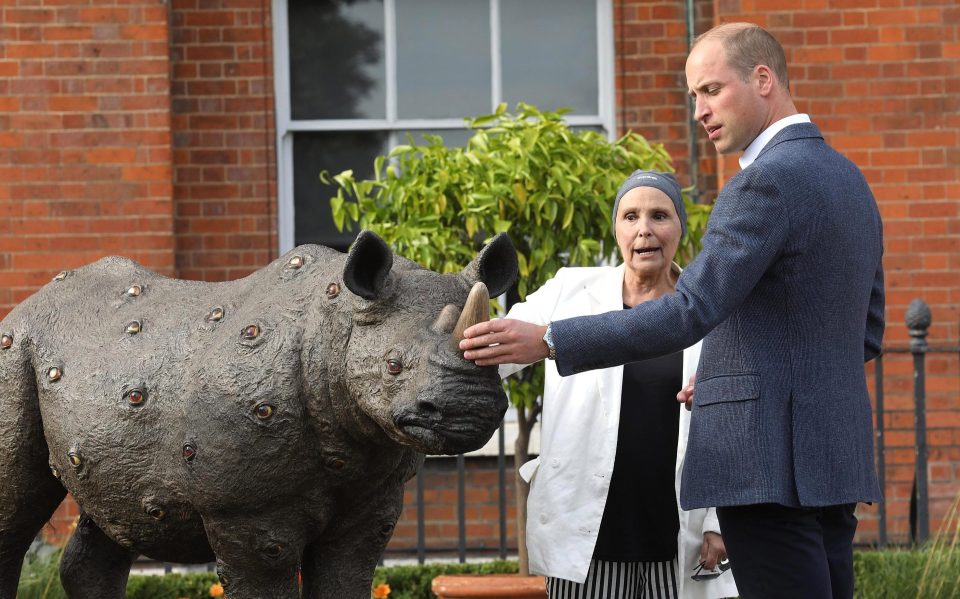  The Duke of Cambridge visited the Tusk Rhino Trail, an art installation that draws attention to the critical threat facing rhino populations