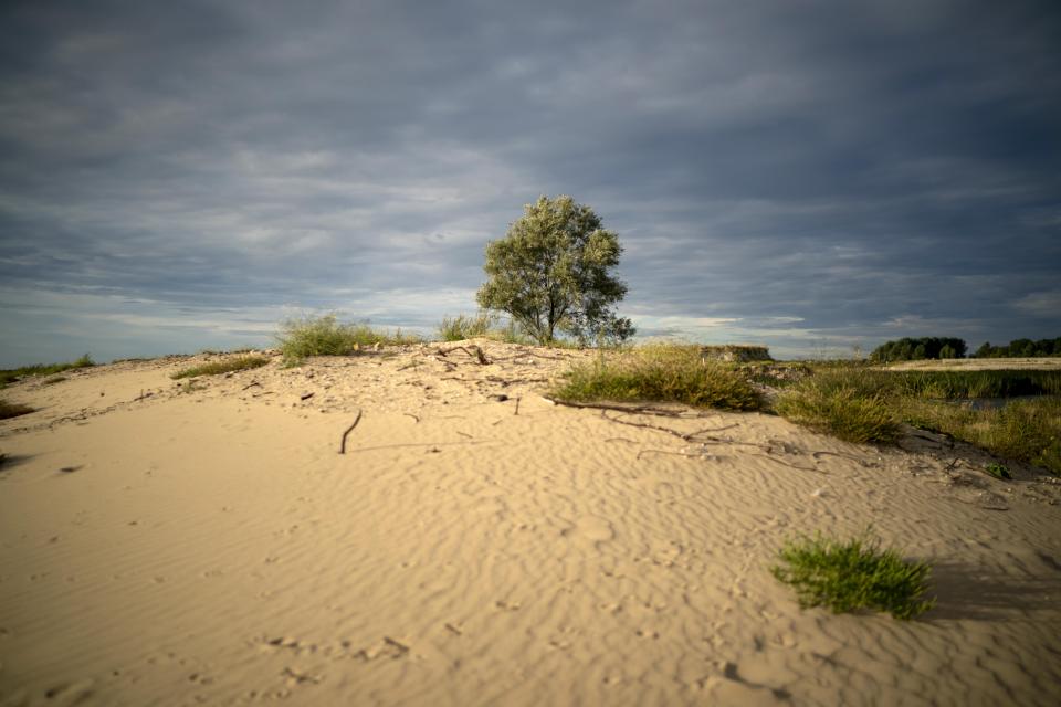  Tourists are now invited to the picturesque nature reserve