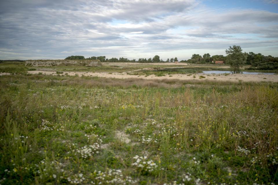  The debris has now gone and, in its place, are beautiful landscapes rich in wildlife