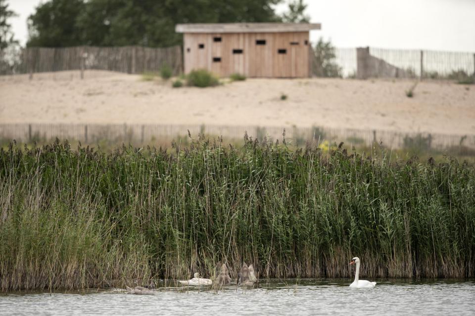  Some of the bird-spotting hides now in the camps place have been built on Second World War bunkers