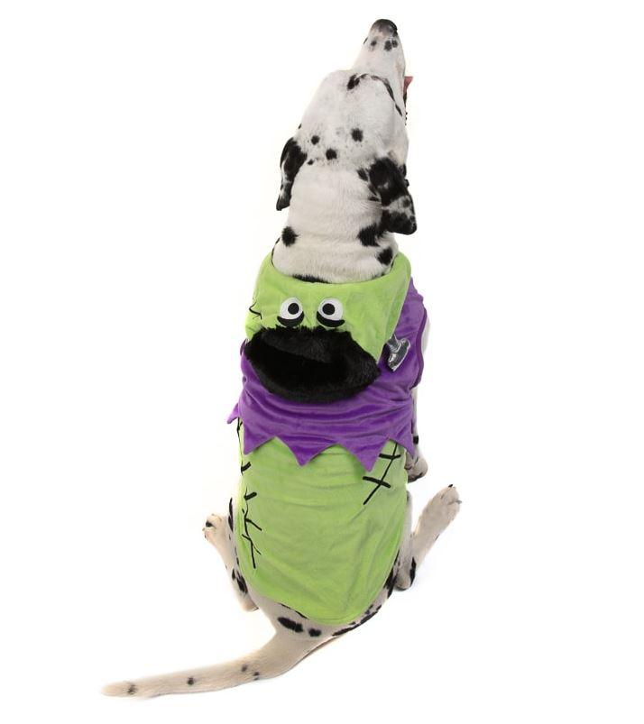  Kit your dog out in this colourful costume