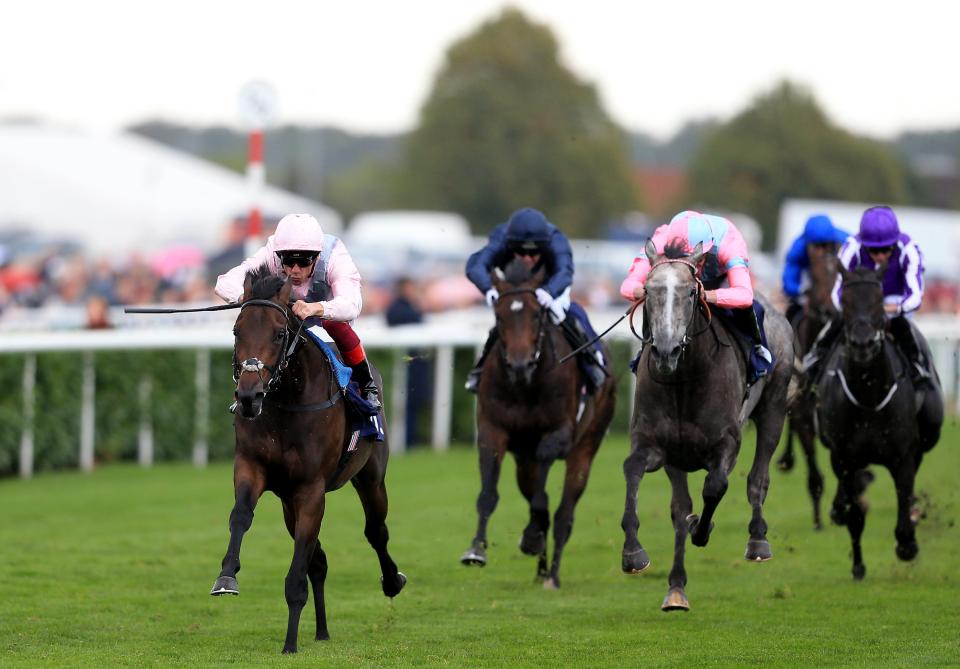  Too Darn Hot is heading for the Dewhurst Stakes on 13 October