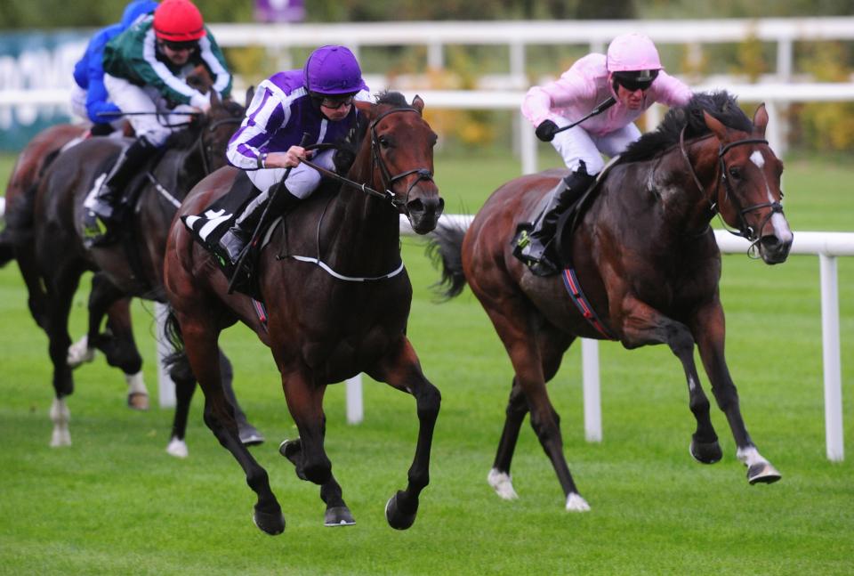  Kenya (right) was second in the Boomerang Stakes last time