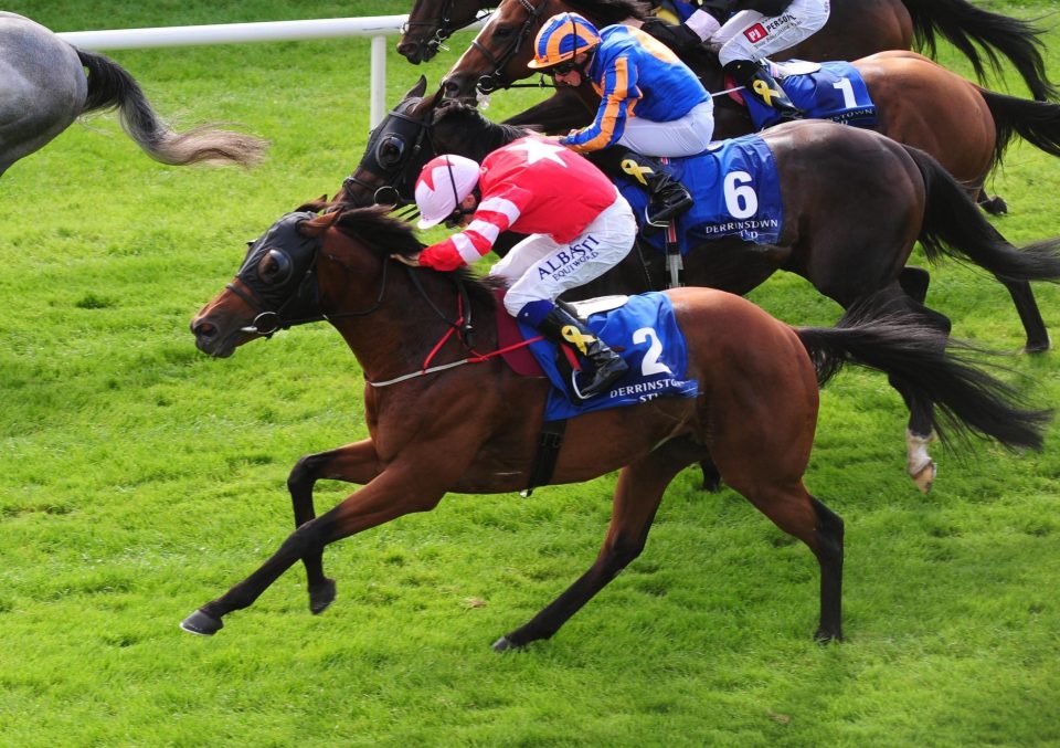  Son Of Rest heads the betting for the Ayr Gold Cup