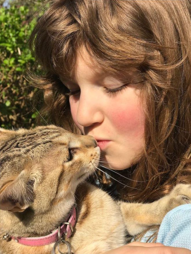  Samantha Glass expressed her fury after she found her cat, Harley, slaughtered outside her house