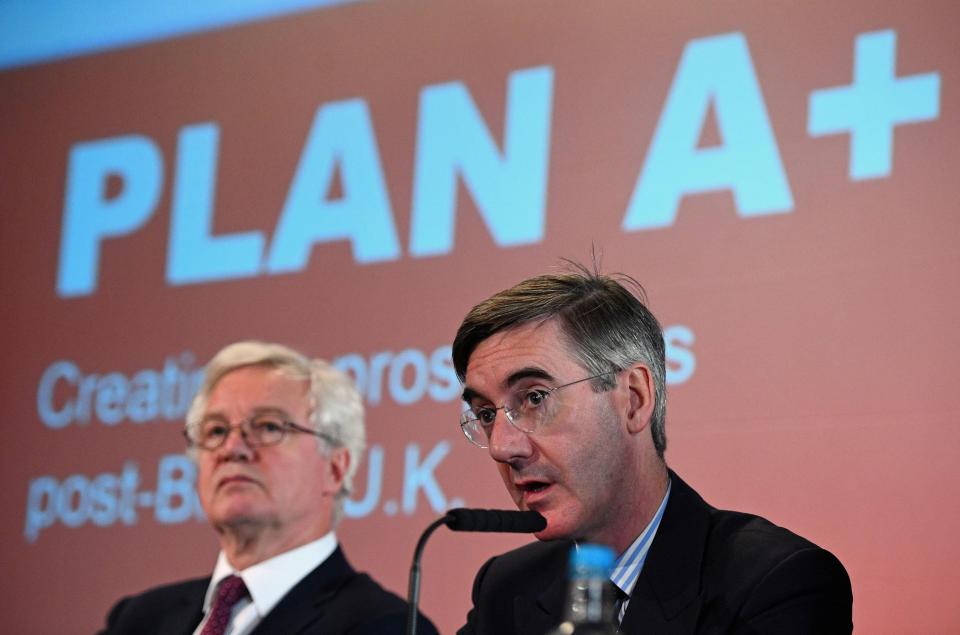  Jacob Rees-Mogg and David Davis unveiled the rival blueprint in Westminster this morning