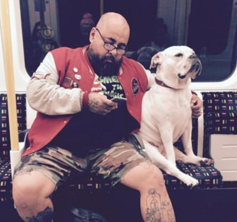  And here's another pooch that thinks he's top dog on the Tube