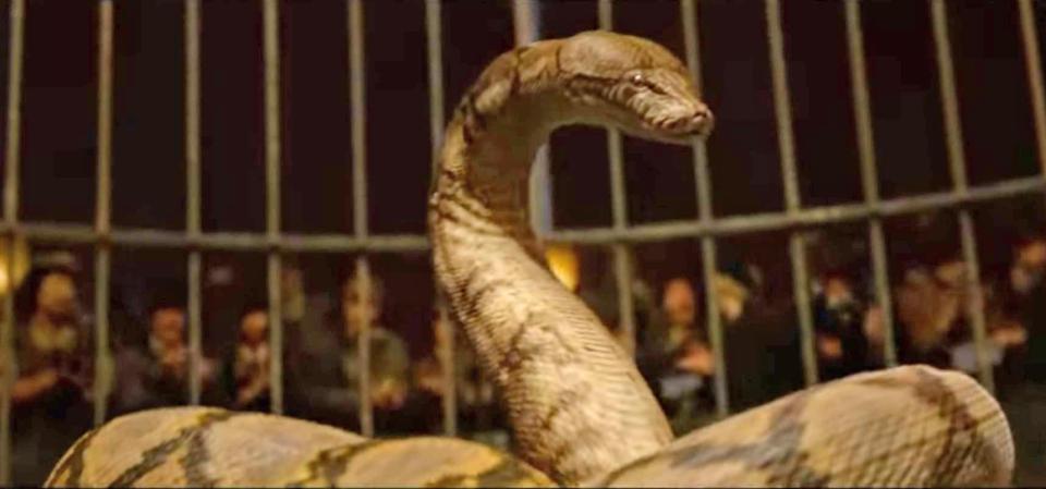  The latest trailer for Fantastic Beasts: The Crimes of Grindlewald reveals a secret about Voldemort's snake Nagini