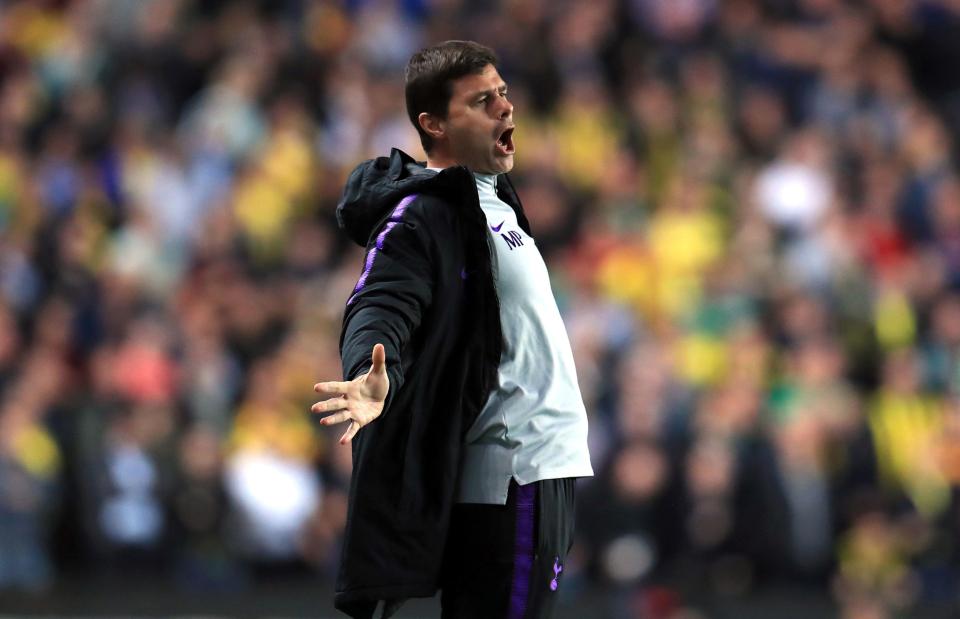 Mauricio Pochettino was thought to be on Real Madrids radar this summer