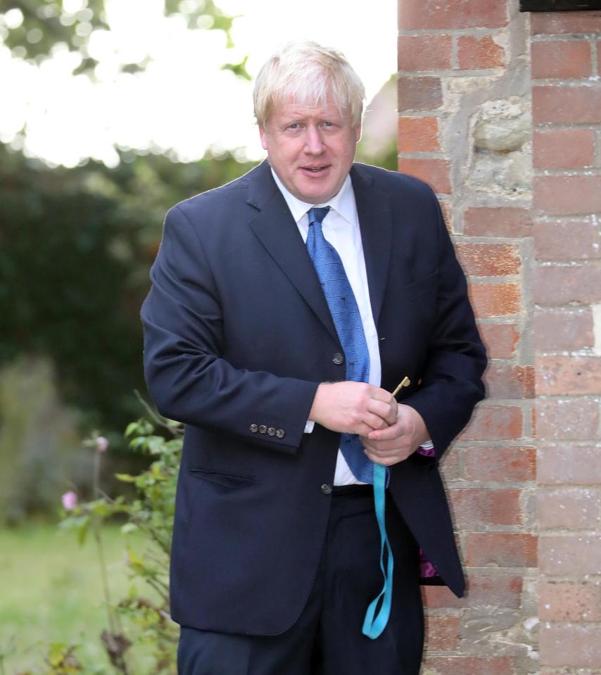  Mr Johnson slammed the Prime Minister's stance on Brexit