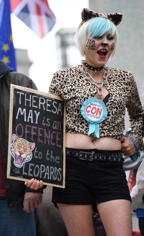  A PROTESTER wore the PM’s favoured leopard print yesterday as she held a sign bearing catty remarks, and a rosette saying: 'Brexit is a Con'