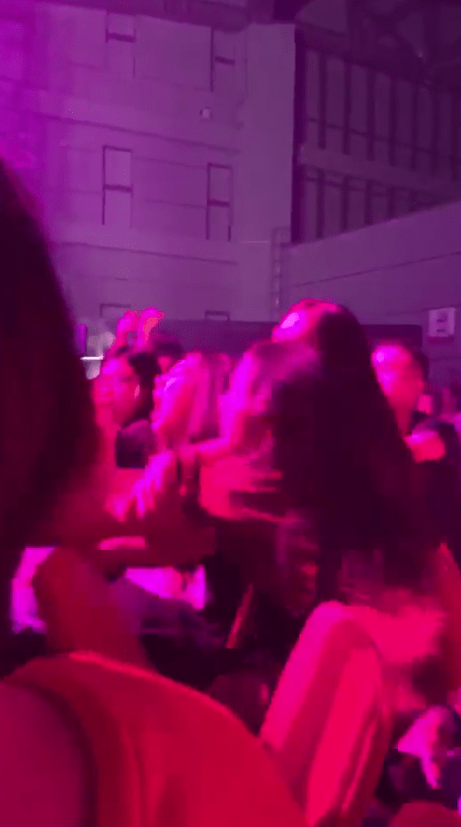  This girl was body-slammed to the ground for jumping out of her seat during the performance on September 12