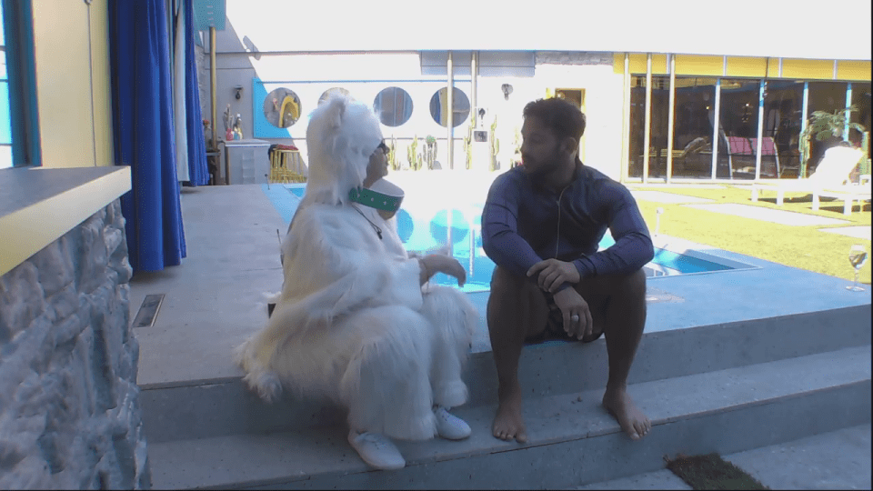 With Roxanne now gone from the house, Ryan reflects on the dramatic feud with Sally by the pool