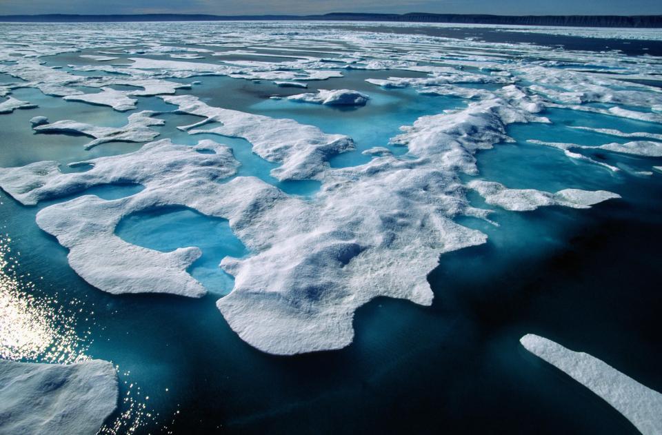  Global warming will cause ice to melt, which will release bacteria that had remained dormant for thousands of years