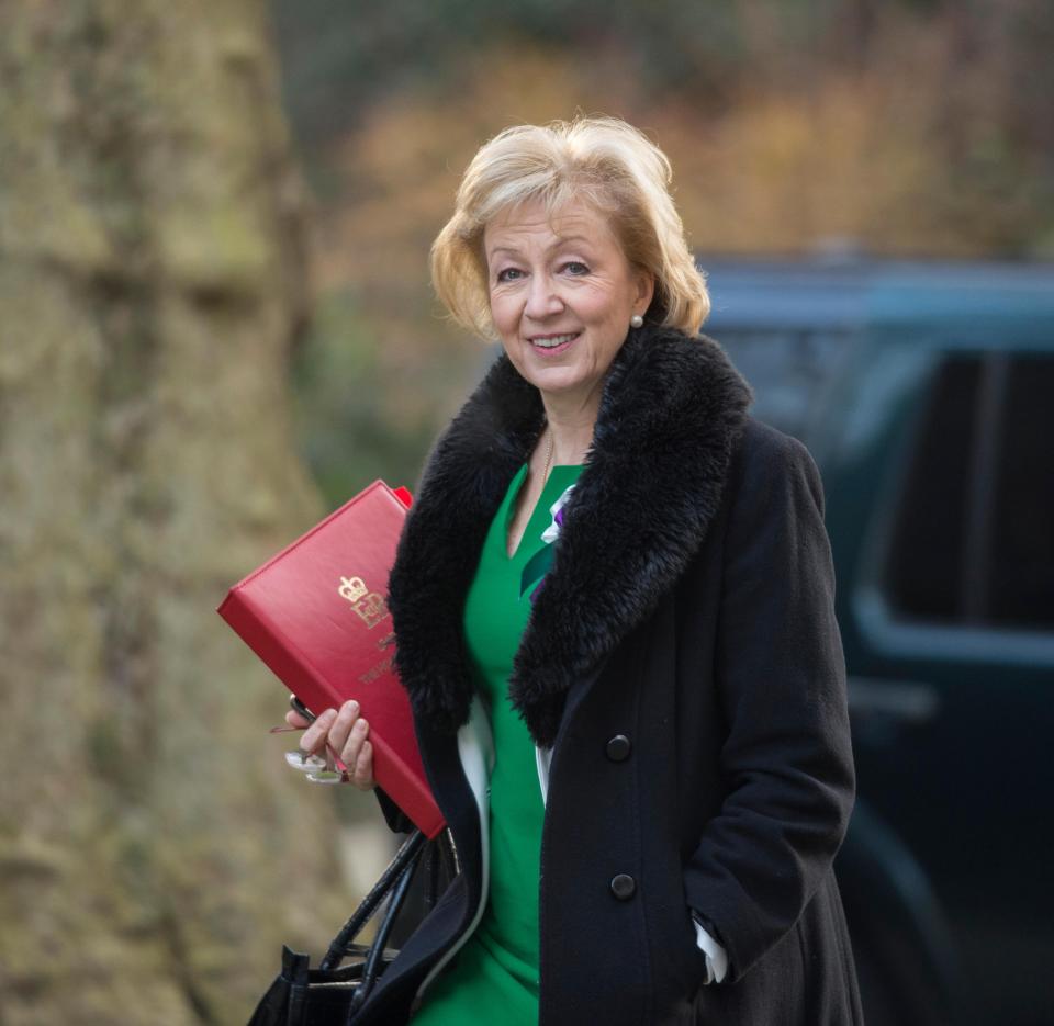  Leader of the Commons Andrea Leadsom is said to have threatened to resign if there isn't an end date for the Irish backstop