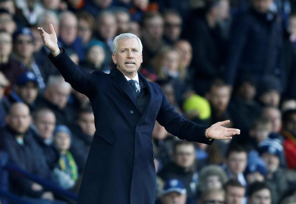  Alan Pardew has donated to help fund an anti-Brexit march in London