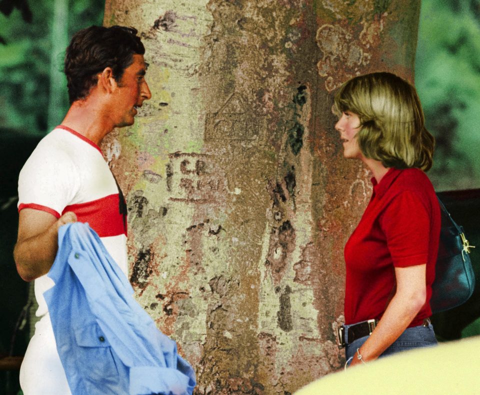  The iconic picture was snapped at a polo match in Cirencester Park years after the pair had broken up