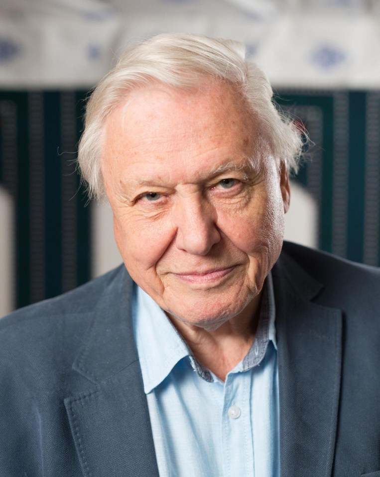 David Attenborough completed the top three in the 2,000-strong survey