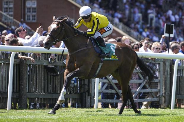 Pretty Pollyanna bids to bounce back to winning ways at Newmarket on Friday