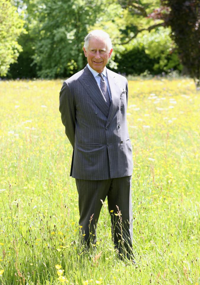  Prince Charles now opts for more environmentally friendly motors