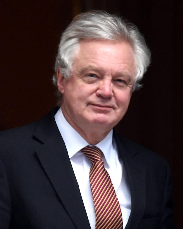  David Davis wrote to Conservative MPs warning them to reject the PM's soft Brexit plan or risk being wiped out