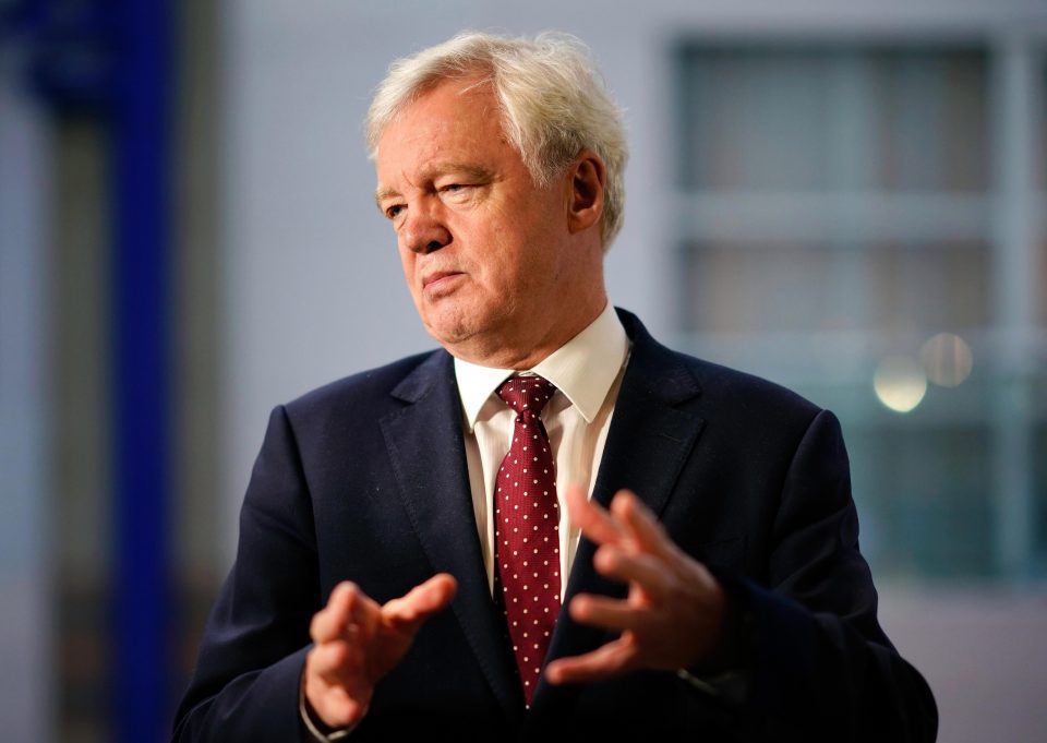  David Davis mocked Boris' outlandish policy ideas