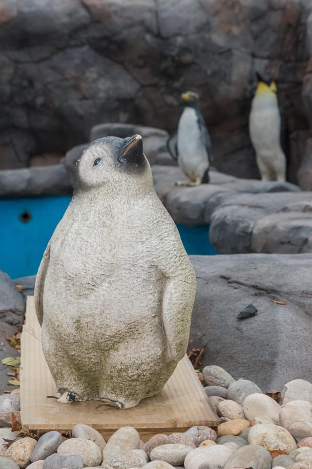 Exotic Zoo Telford