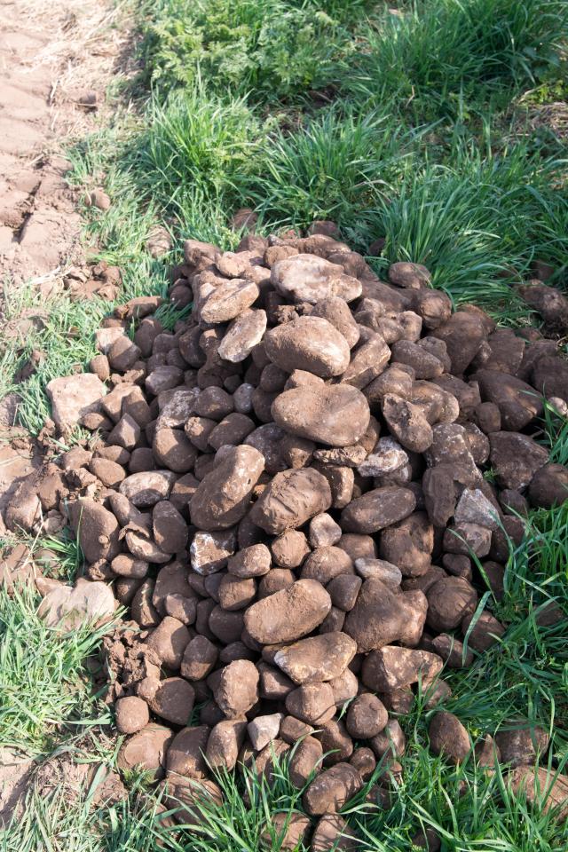  Allegedly, stone mounds have been created in fields near potential targets for burglars (file photo)