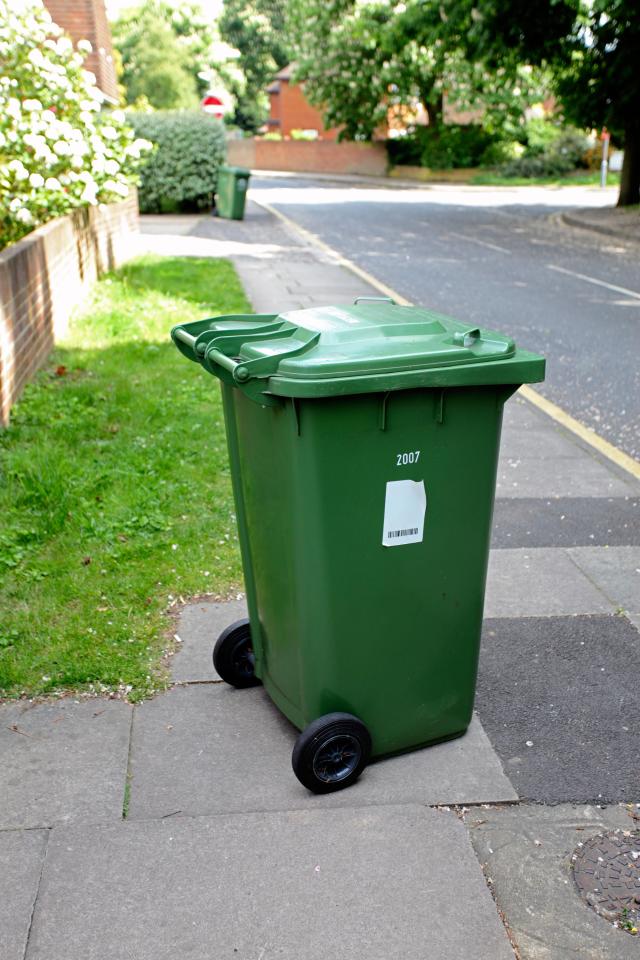  Security companies have warned that markings on outside bins have been used to indicate a potential target (file photo)