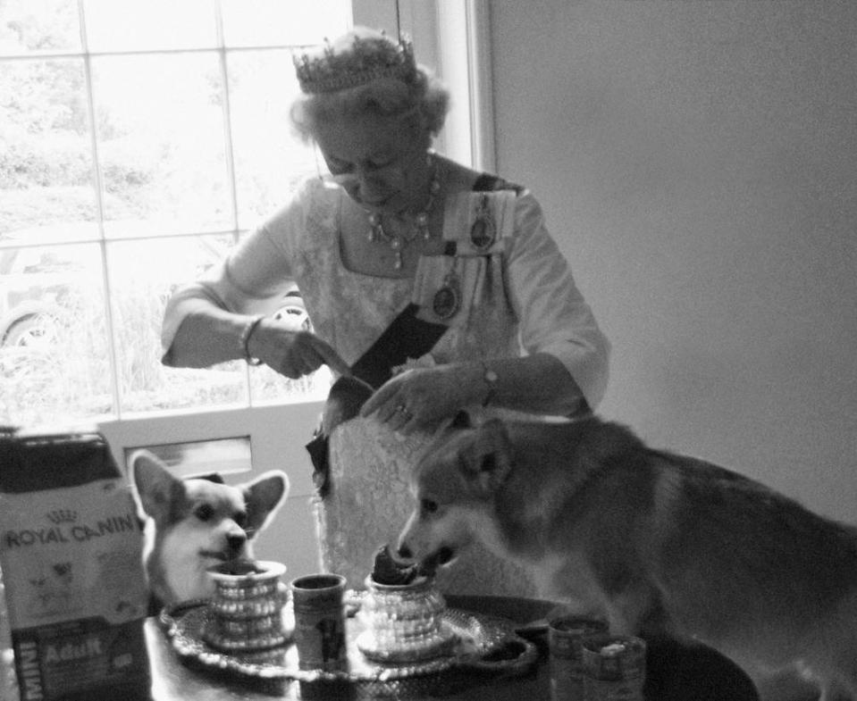  Even the corgis live the Royal life with dinner served on a silver platter