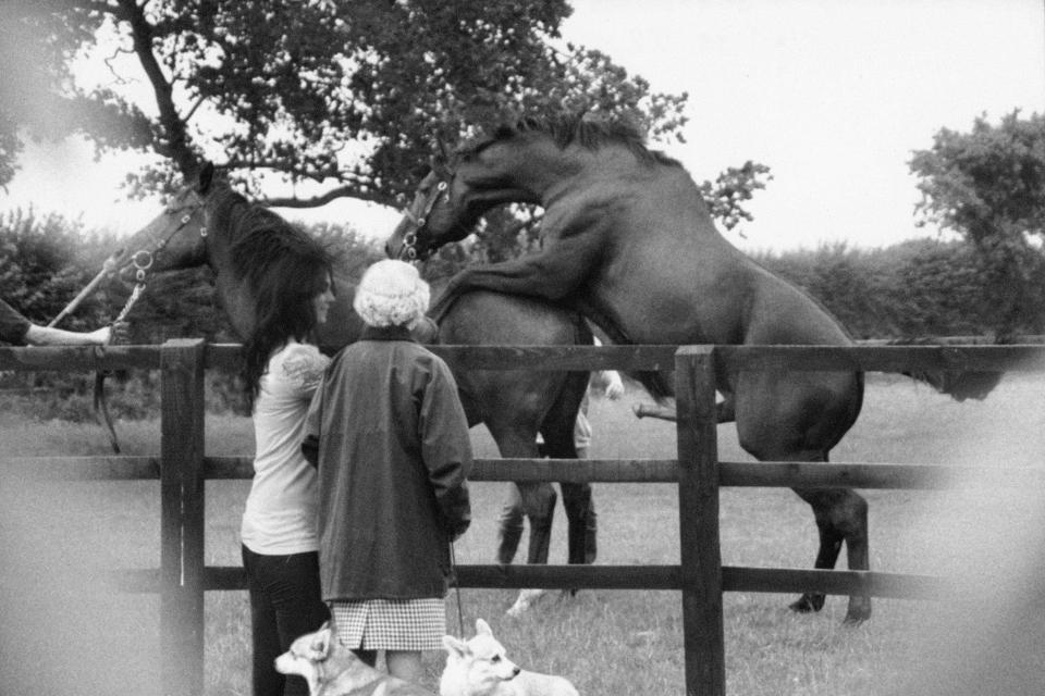  The monarch is a horse lover but gets more than she bargained for down at the stables