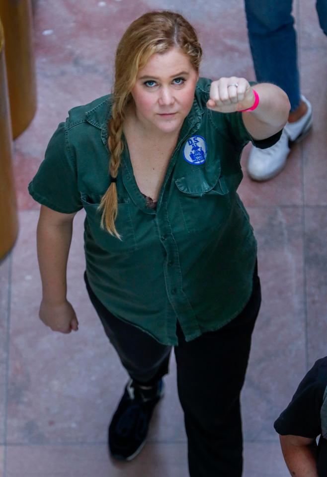  Amy was arrested at the Brett Kavanaugh protest