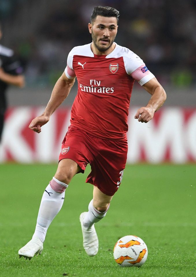  Sead Kolasinac has pulled out of the Bosnia squad at the request of Arsenal