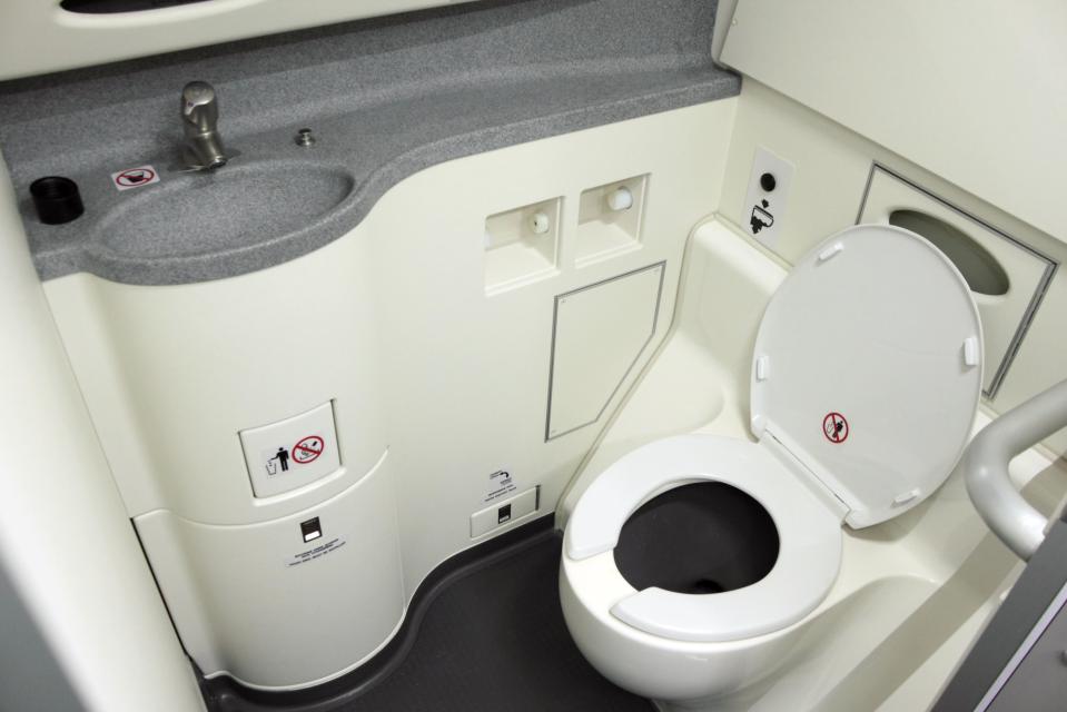 There has probably been plenty of vomit on your plane toilet floor